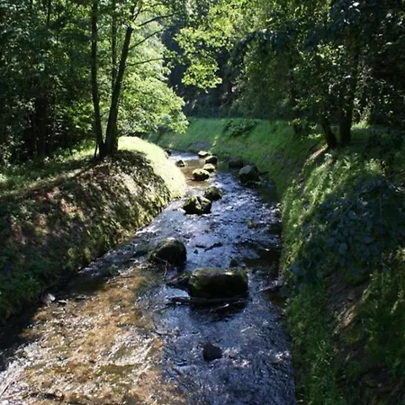 Gemuetliche Wohnung In Hellenthal * هيلينثال