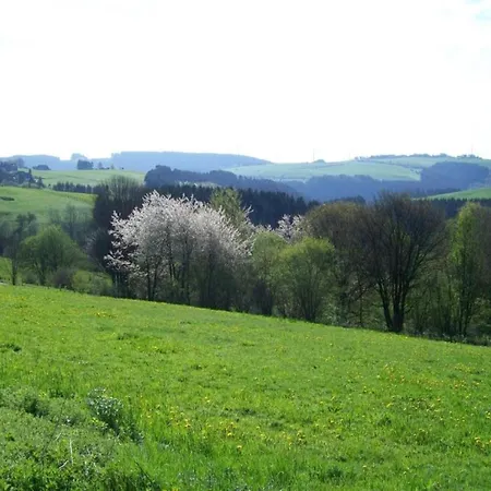 Gemuetliche Wohnung In Hellenthal Appartement